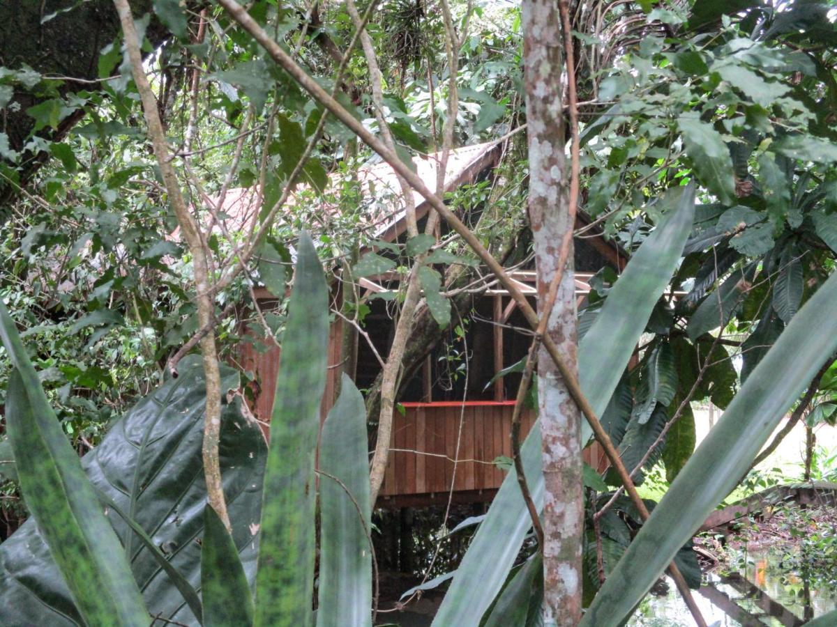 Hotel Kangaroo Rio Dulce Bagian luar foto