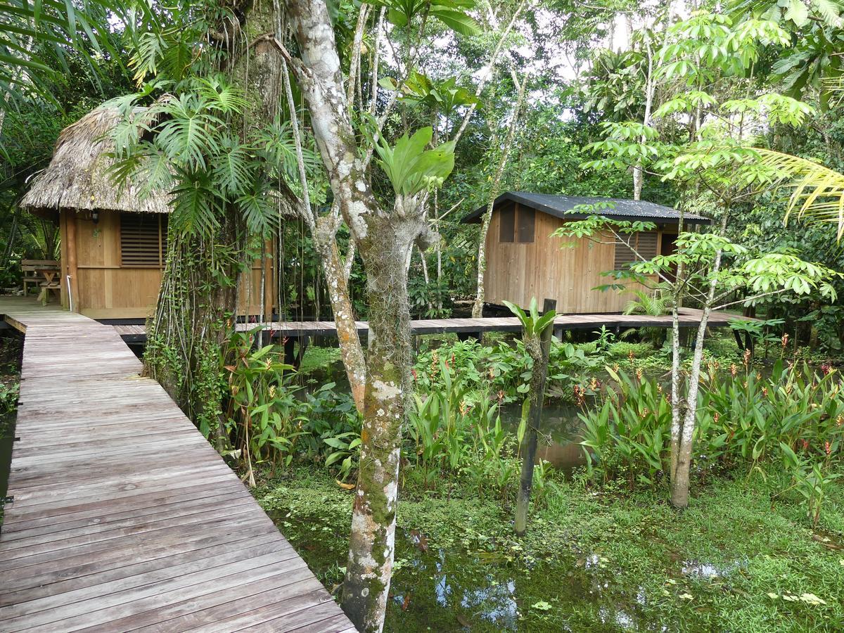 Hotel Kangaroo Rio Dulce Bagian luar foto