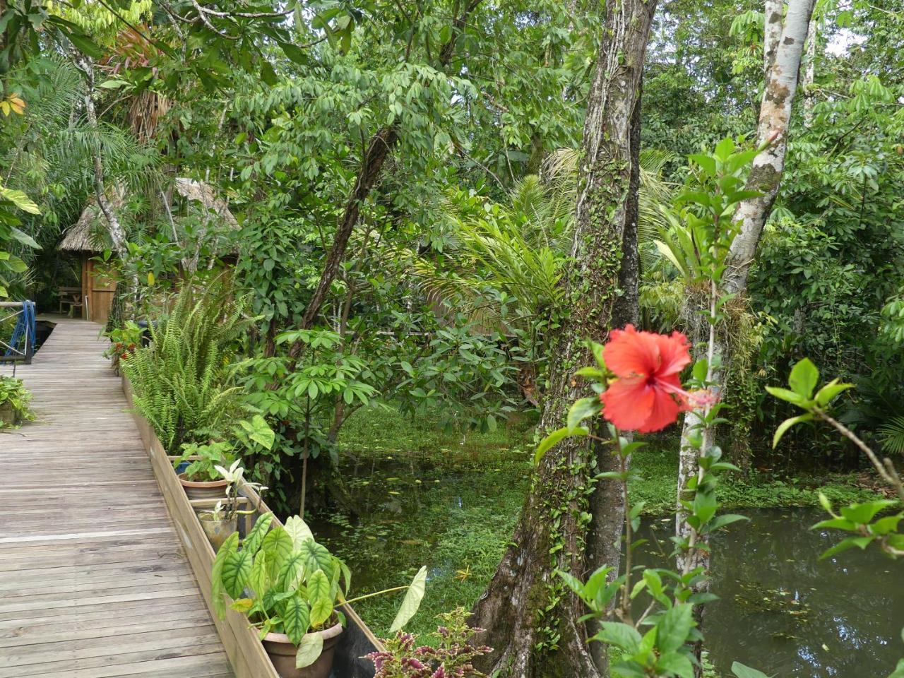 Hotel Kangaroo Rio Dulce Bagian luar foto