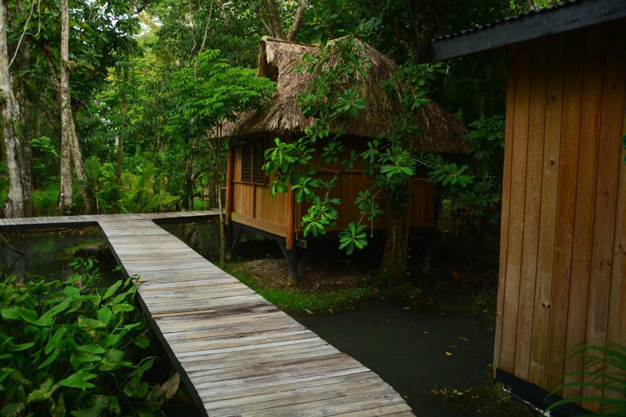 Hotel Kangaroo Rio Dulce Bagian luar foto