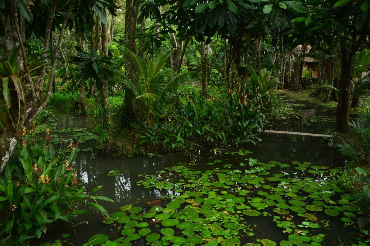 Hotel Kangaroo Rio Dulce Bagian luar foto