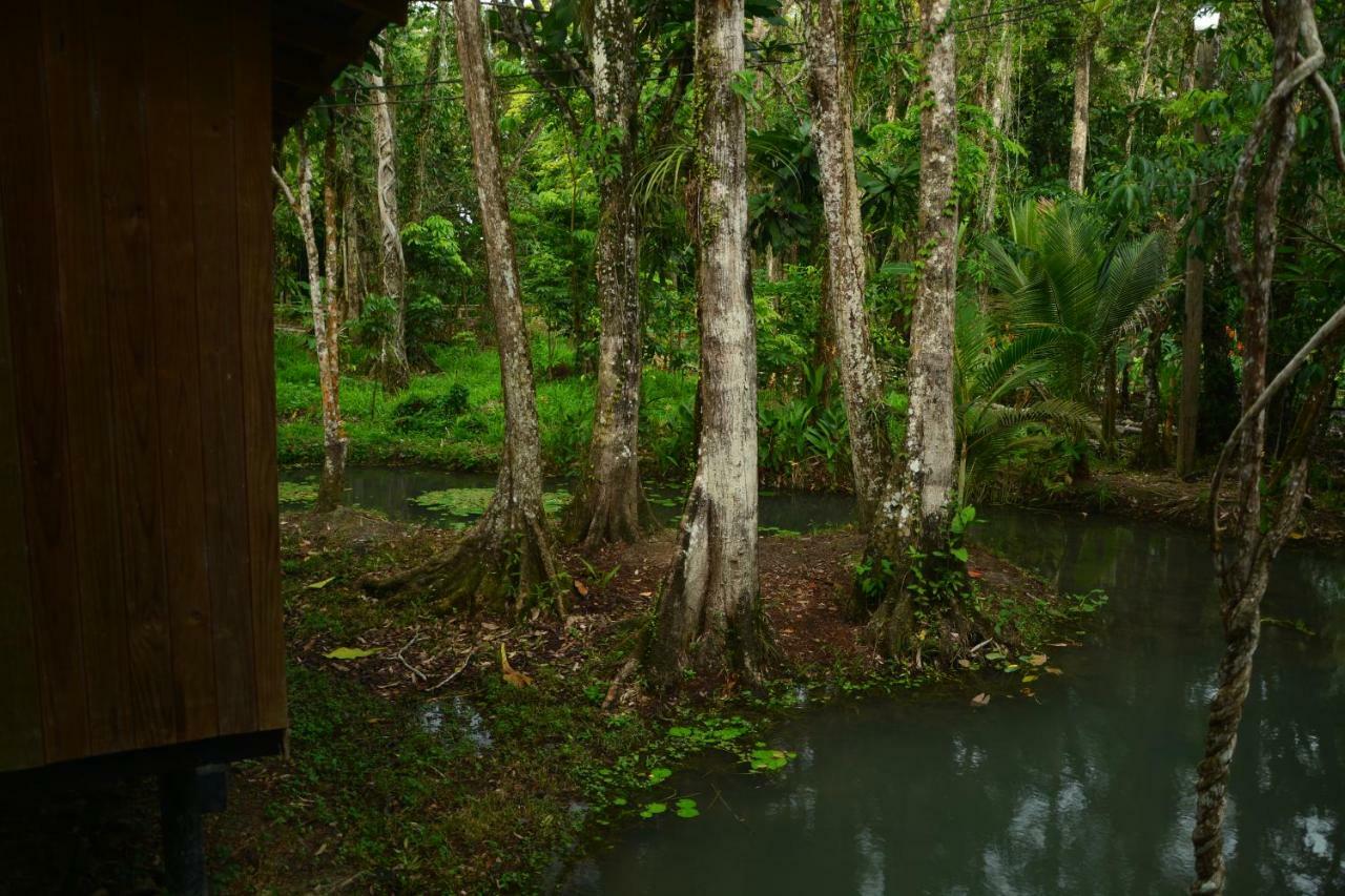 Hotel Kangaroo Rio Dulce Bagian luar foto